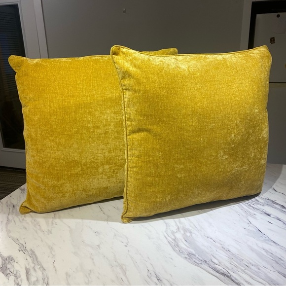 Urban Barn Clooney Cushions Throw pillows in Dijon 24” x 24” set of 2 - Picture 5 of 11